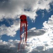3D šarkan chobotnica obrovská 23m vo vzduchu